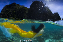 Mermaid by Cary Bao 